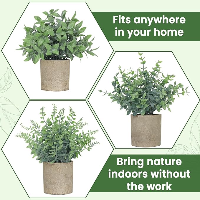 3 Pack Small Fake Plants, Artificial Eucalyptus, Boston Fern & Boxwood Leaves - Image 3