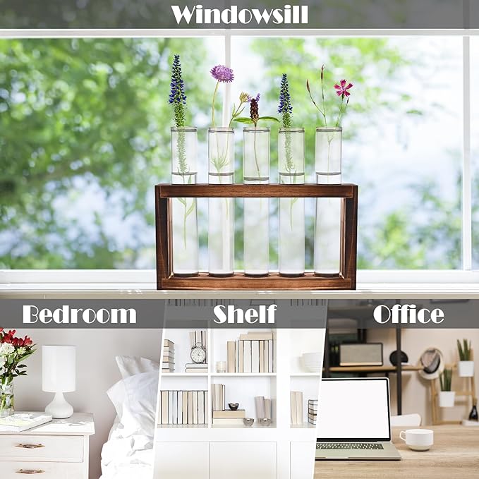 Desktop Glass Plant Propagation Station - Image 7