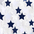 Navy-Blue White-Silver Party-Decorations Birthday Garland - 62ft Twinkle Little by Hugtmr