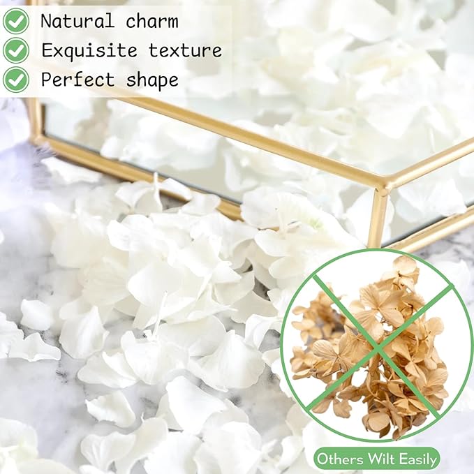 4500Pcs Ivory White Dried Hydrangea Flower Petals - Image 7