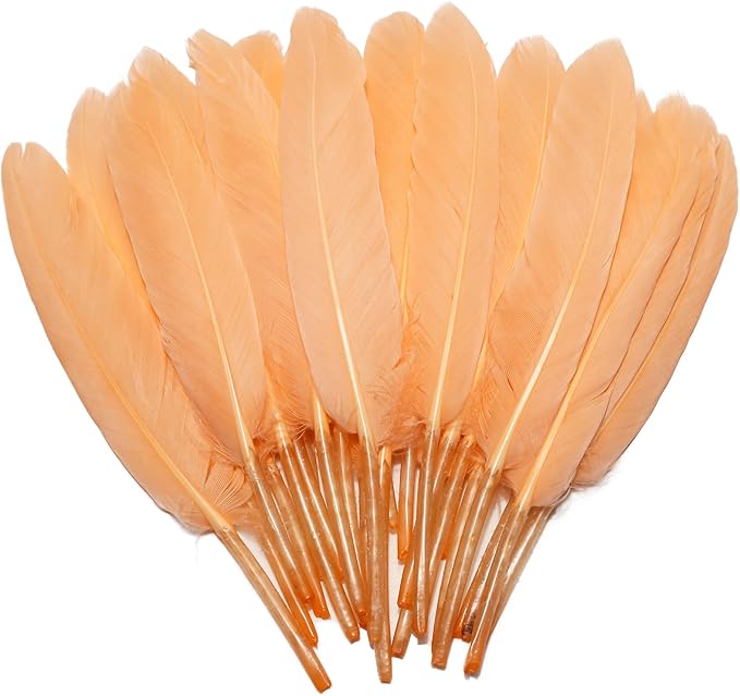 FeelfunFeather 120pcs Champagne Goose Cochettes Feather Natural Bulk 4-6 inch by FeelFunFeather