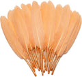 FeelfunFeather 120pcs Champagne Goose Cochettes Feather Natural Bulk 4-6 inch by FeelFunFeather