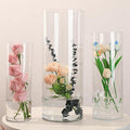 Extra Large Acrylic Cylinder Clear Vase by Unknown