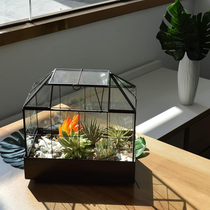 Large Tall Plant Terrarium Glass Greenhouse - Image 7