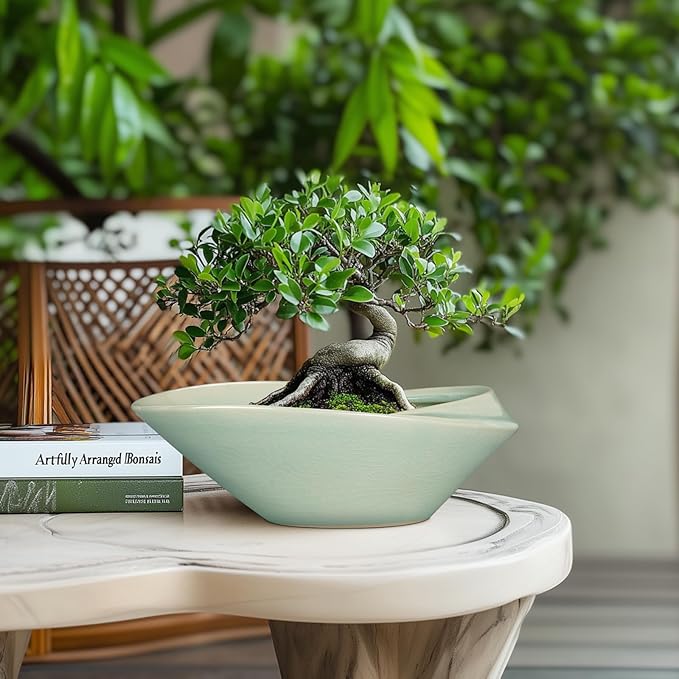Bonsai Pot - 12 Inch Ceramic Planter Pot - Image 2