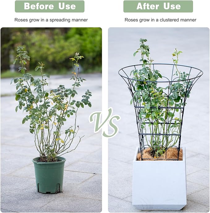 COOOXIM Peony Cages & Supports - Image 4