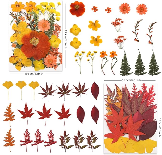 80P Autumn Tone Dried Flowers for Crafts - Image 3