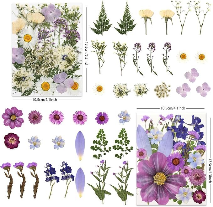 80 Pcs Dried Pressed Flowers for Crafts, Natural - Image 2