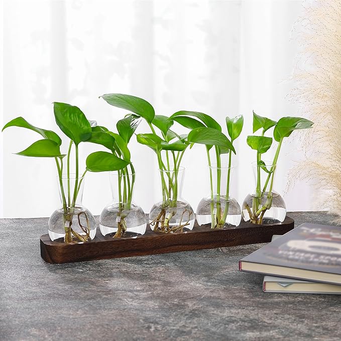 YIBOT Plant Propagation Stations, Glass Propagation Vases - Image 7