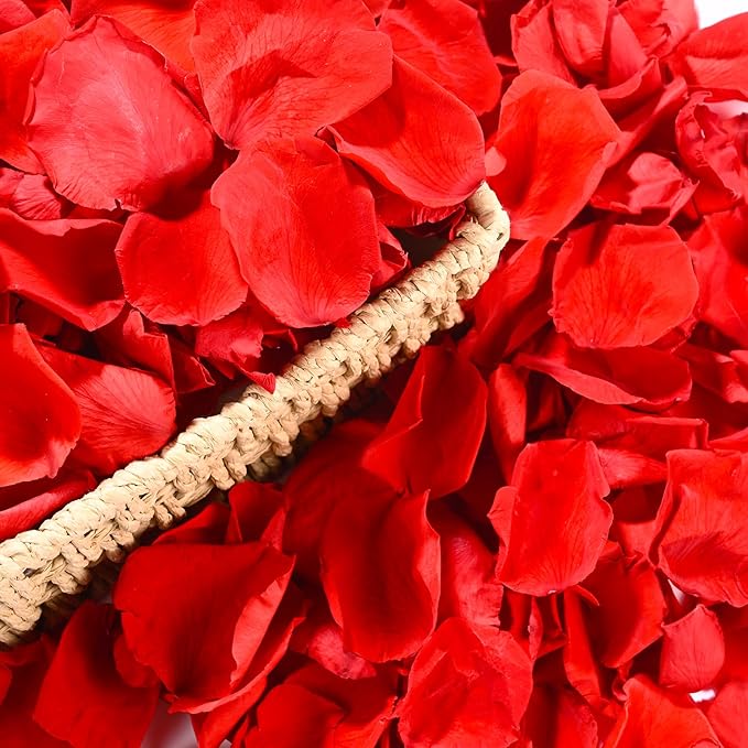 230 PCS Red Dired Rose Petals 2.1oz/60g Natural Real Rose Flower Petals by VAIPI