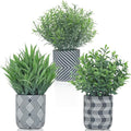 3 Pack Small Fake Plants, Fake Grass Plant, Artificial Boxwood & Rosemary by Unknown