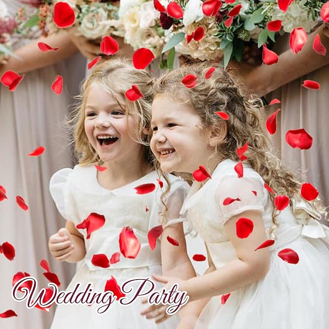 3.5 Oz Dried Rose Petals Wedding Biodegradable Petals, Natural Preservation - Image 7