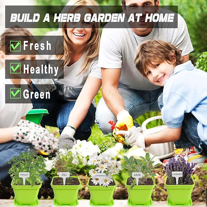 10 Herb Seeds Garden Starter Grow Kit - Image 4