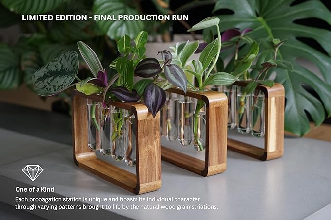 Source & Plot - Plant Propagation Station - Acacia Wood Stand 4 Glass Test Tube - Image 2