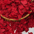 1500Pcs Real Dried Red Hydrangea Flower Petals by Gifugi