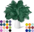 NEWONG 30pcs Dark Green Ostrich Feathers Natural Bulk 11-14inch Vase Craft by NEWONG