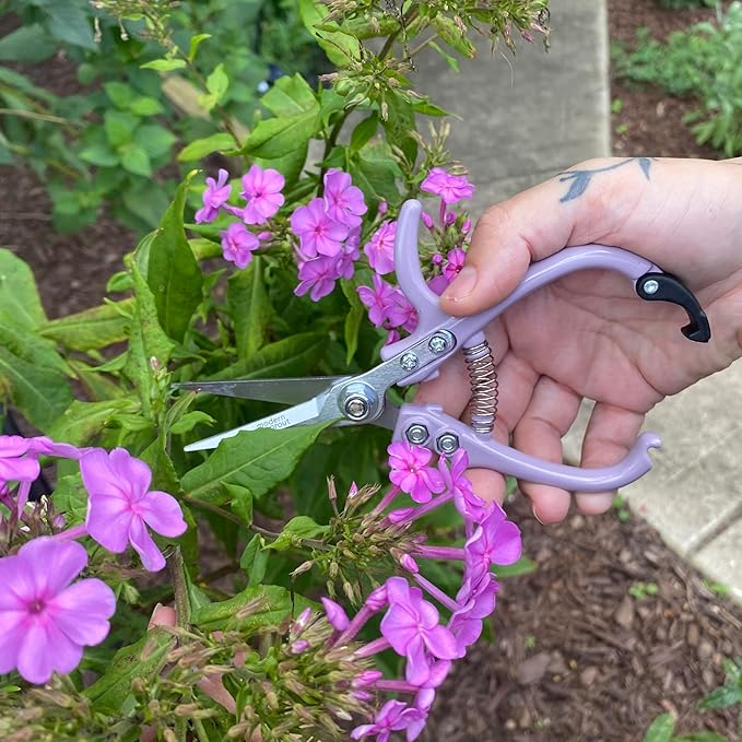 Modern Sprout Pruning Shears - Image 5