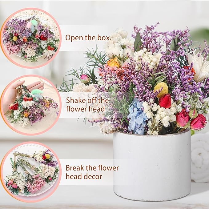10/12/24/36 Pack Mini Dried Flowers - Image 4