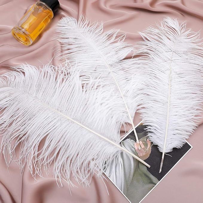 Ballinger Large White Ostrich Feathers - Image 7