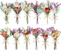 10/12/24/36 Pack Mini Dried Flowers by Unknown