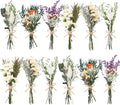12/24 Pack Dried Flowers for Vase Various Mini Bouquet Dried Small Wildflowers by Unknown