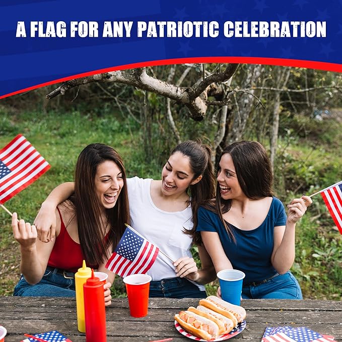 Super Tough Small American Stick Flags 4’’x6’’ - Image 6