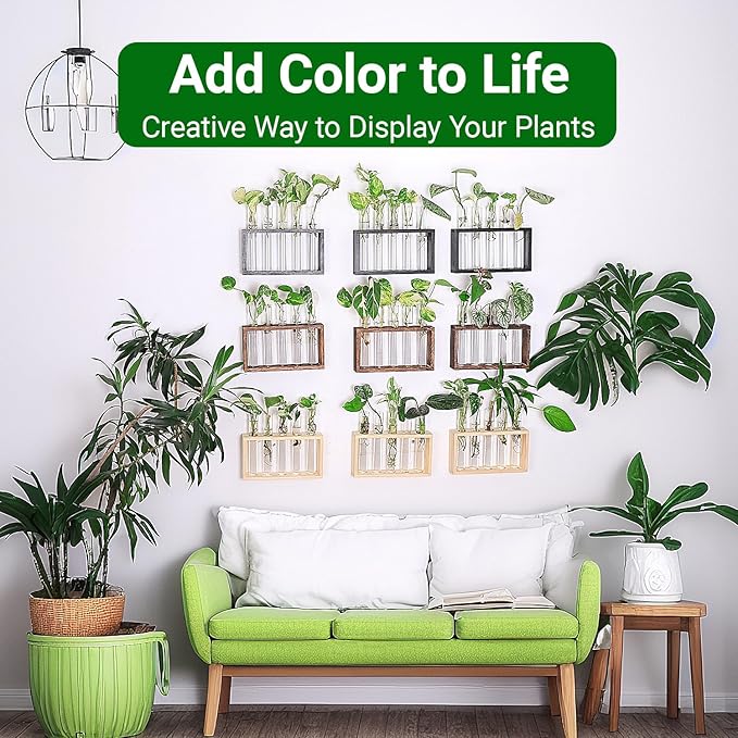 Ivolador Plant Propagation Station Terrariumin Wall Test Tube Vases Bud - Image 6
