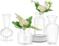 Modern Clear Glass Bud Vase Set: Glasseam 4Pcs Small Mini Flower Centerpieces by Glasseam