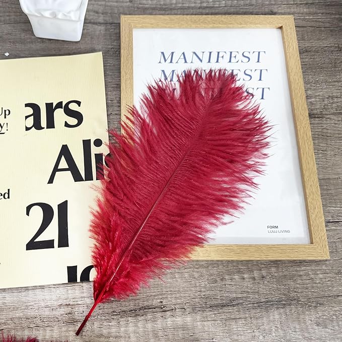 Happy Feather 16-18 inch Wine Rde Ostrich Feathers Craft - Image 2