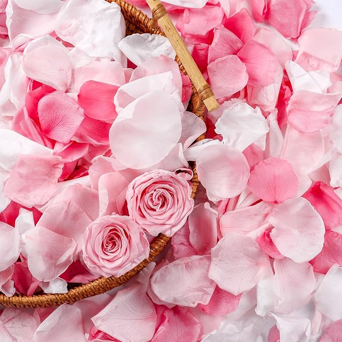 300 PCS Real Pink White Rose Flower Petals Confetti by Eslibin