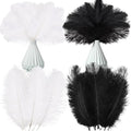 Crowye 100 Pcs Ostrich Feathers Bulk by Crowye