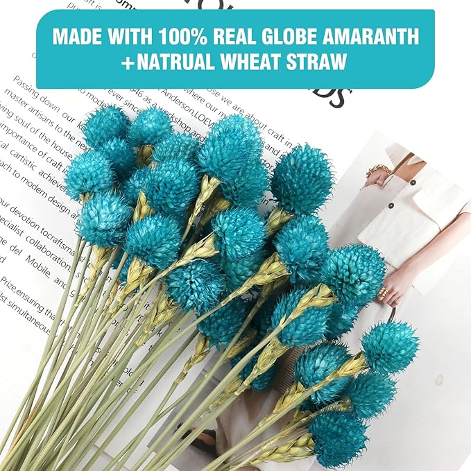 Dried Flower Tiffany Blue Globe Amaranth - Image 3