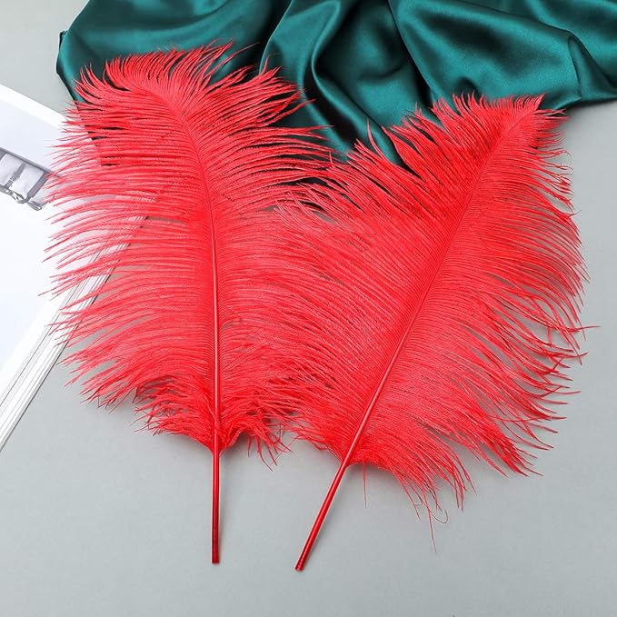 12pcs Natural Bright Red Ostrich Feathers 12-14inch - Image 7