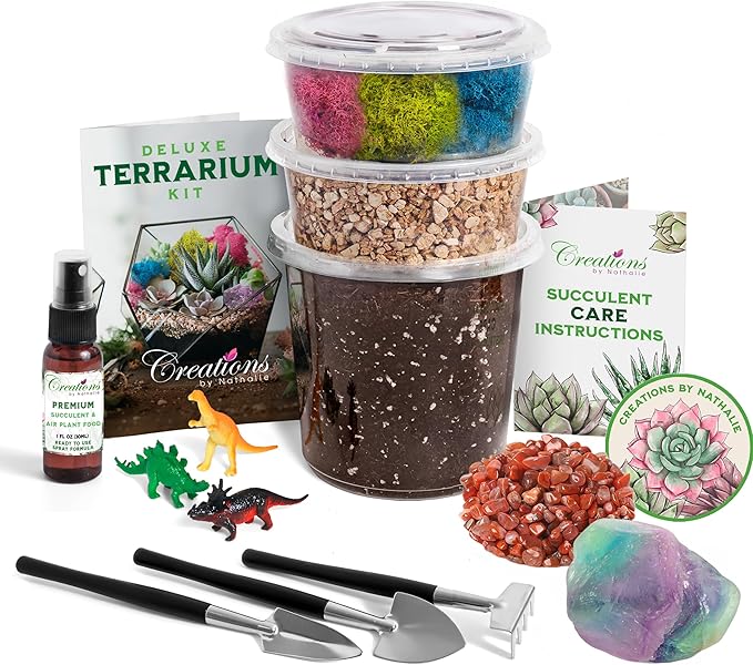 – Premium Small DIY Terrarium Kit by CreationsbyNathalie