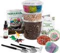 – Premium Small DIY Terrarium Kit by CreationsbyNathalie