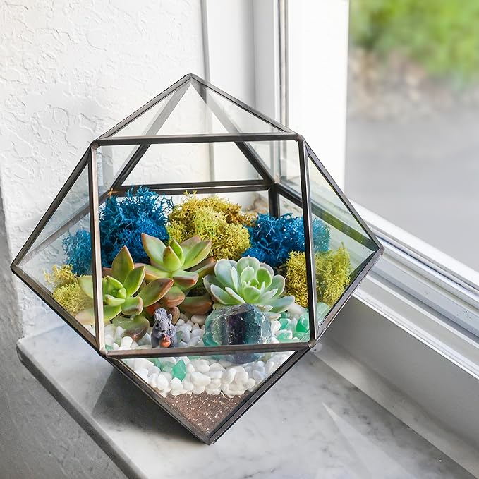 DIY 7" Geometric Terrarium Kit - Image 5