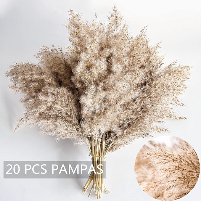 Pampas Grass Decor, Natural Dry Pampas Grass Small, Short Pampass Bulk - Image 6