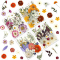 120P 4-Color Mixed Foliage Dried Flowers by LUXEEASE