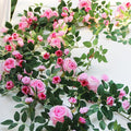 6FT Pink Flower Garland Artificial Rose Vines Hanging Floral Garland by zhixinyue