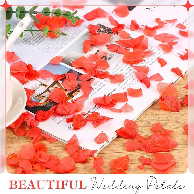 2500 PCS Red Hydrangea Petals 100% Natural Real Flower Petals - Image 4