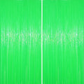 2 Pack Pastel Green Foil Fringe Backdrop Curtains, Tinsel Streamers Party by Voircoloria