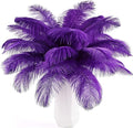 THARAHT 24pcs Purple Ostrich Feathers Natural Bulk 10-12Inch 25cm-30cm by THARAHT