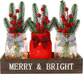 DIYDEC 3PCS Christmas Mason Jars 3*5Inch lighting Painted Xmas Tiered Tray by DIYDEC