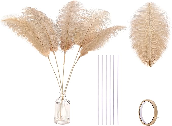 Holmgren Champagne Large Ostrich Feathers by Holmgren