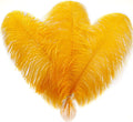 Larryhot Gold Large Ostrich Feathers by Larryhot