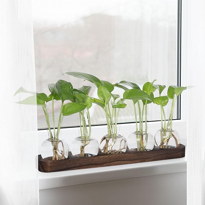 YIBOT Plant Propagation Stations, Glass Propagation Vases - Image 5