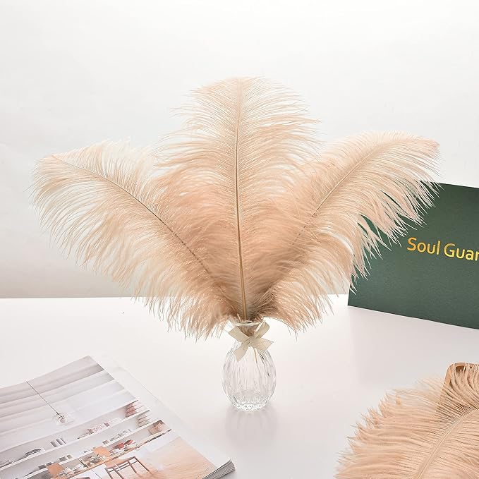 Ballinger Champagne Ostrich Feathers Bulk - Image 6
