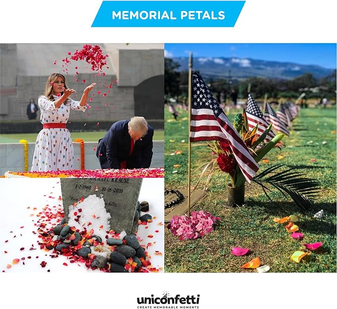 Dried Flower Yellow Lily Biodegradable Confetti - Image 8