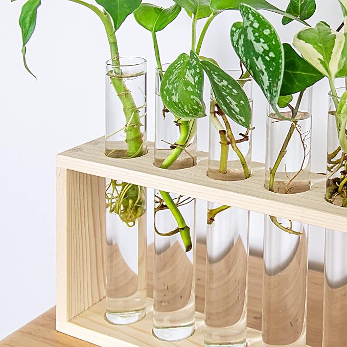 Ivolador Plant Propagation Station Terrariumin Wall Test Tube Vases Bud - Image 8