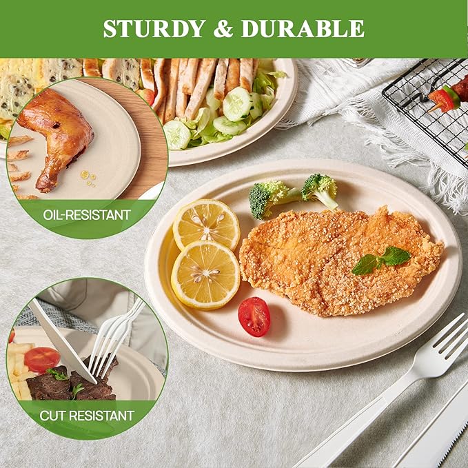 Vplus 100% Compostable Oval Paper Plates 10 inch 125 Pack Super Strong - Image 4